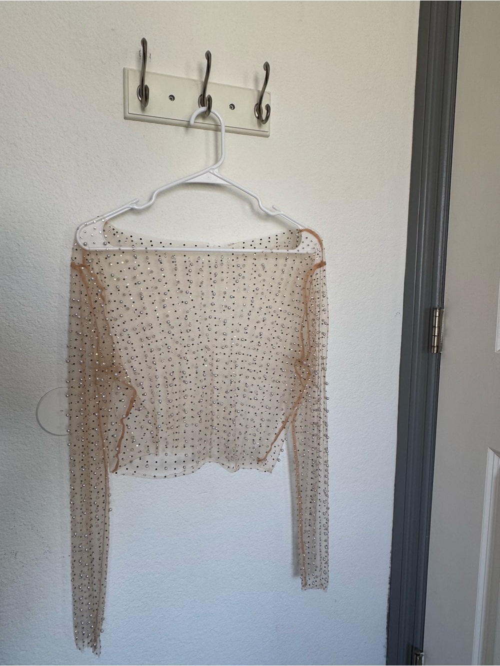Embellished Sheer Nude Long-Sleeve Crop Top